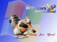 Windowsxp Professional, 1 мая , Москва, id18559888